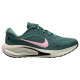 Nike Journey Run W